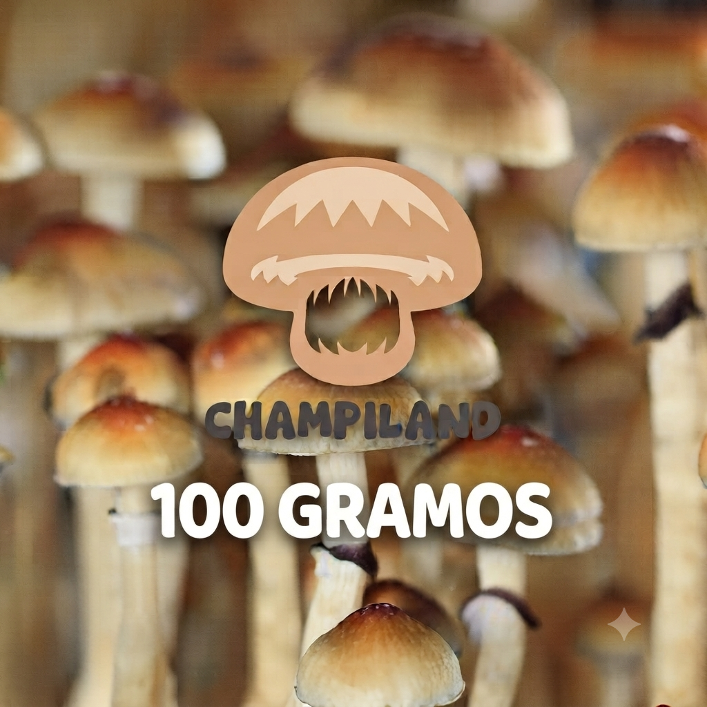 CEPA TRADICIONAL GOLDEN TEACHER 100 GRAMOS