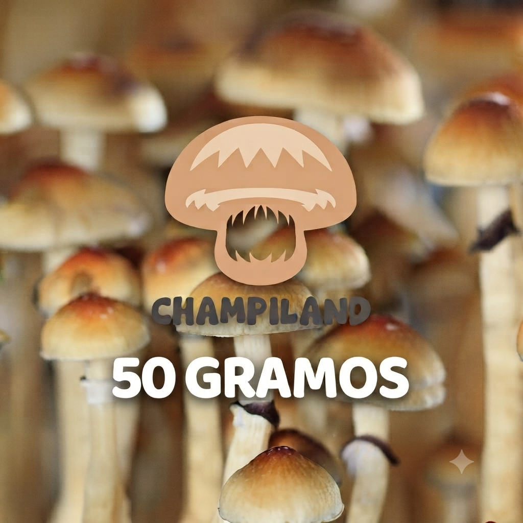 CEPA TRADICIONAL GOLDEN TEACHER 50 GRAMOS
